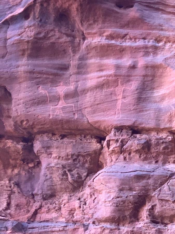 Nature Star Camp Hotel Wadi Rum Esterno foto